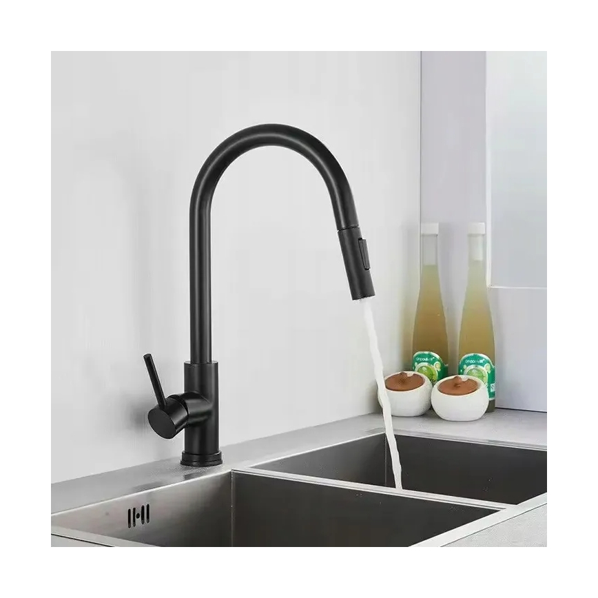 REA-B9147 - Kuhinjska pipa z izvlečnim pršilcem FRESH 39,5 cm mat črna