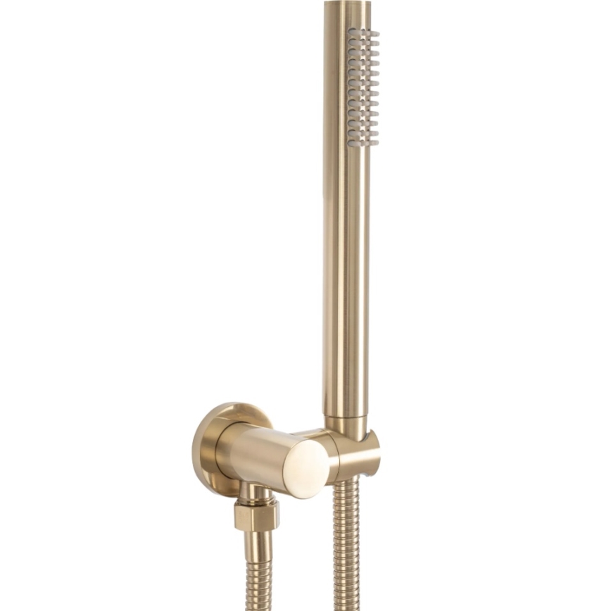 REA-P4160 - Tuš set s podometno baterijo LUNGO, brušeno zlato