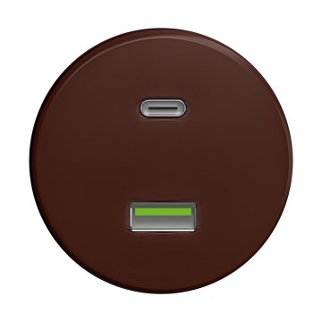 Reblig - Retro USB vtičnica A+C brez okvirja, rjava