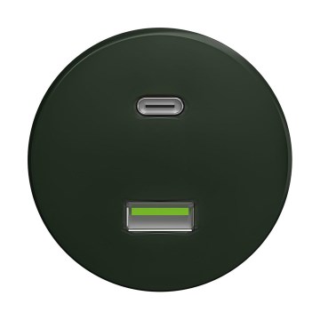 Reblig - Retro USB vtičnica A+C brez okvirja zelena