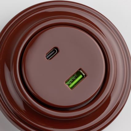 Reblig - Retro USB vtičnica A+C z okvirjem, rjava