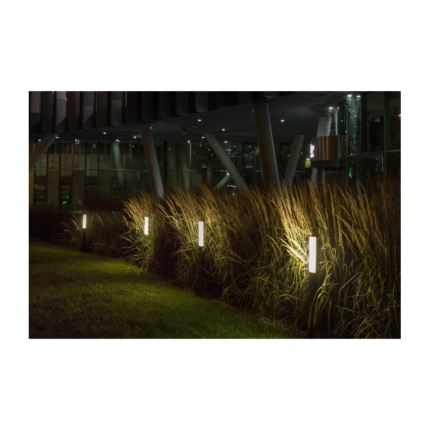 RED - Design Rendl - R10548 - LED Zunanja svetilka VADIS LED/8W/230V IP54