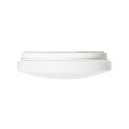 RED - Design Rendl - R12431 - LED Stropna svetilka SEMPRE LED/10W/230V