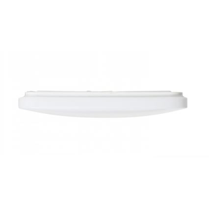 RED - Design Rendl - R12437 - LED Stropna svetilka SEMPRE LED/36W/230V kvadratna