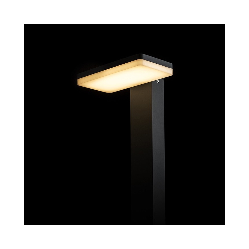 RED - Design Rendl - R12515 - LED Zunanja svetilka RINA LED/12W/230V IP44