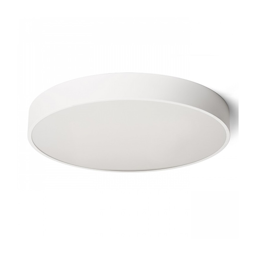 RED - Design Rendl - R13334 - LED Stropna svetilka MEZZO LED/100W/230V bela