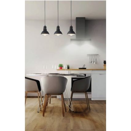 Redo 01-1279 - Lestenec na kablu PEEP 1xE27/42W/230V premer 16,5 cm črna