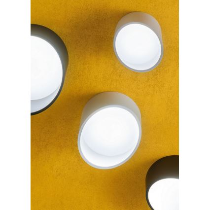 Redo 01-1625 - LED točkovna svetilka UTO LED/6W/230V, premer 9 cm, bela