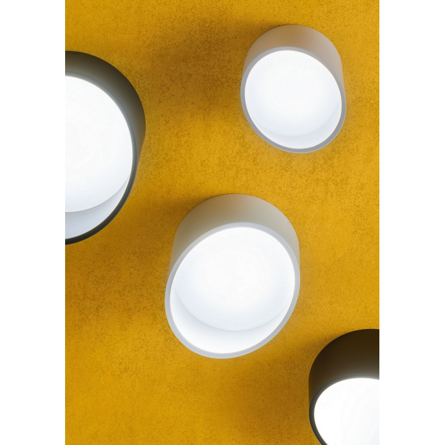 Redo 01-1625 - LED točkovna svetilka UTO LED/6W/230V, premer 9 cm, bela