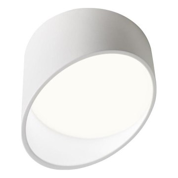 Redo 01-1629 - LED točkovna svetilka UTO LED/18W/230V premer 14 cm bela