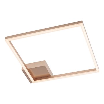 Redo 01-1639 - LED zatemnljivo stropno svetilo KLEE LED/30W/230V 45x45 cm v zlati barvi