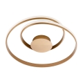 Redo 01-1792 - LED zatemnljivo stropno svetilo TORSION LED/30W/230V premer 55 cm bronasta