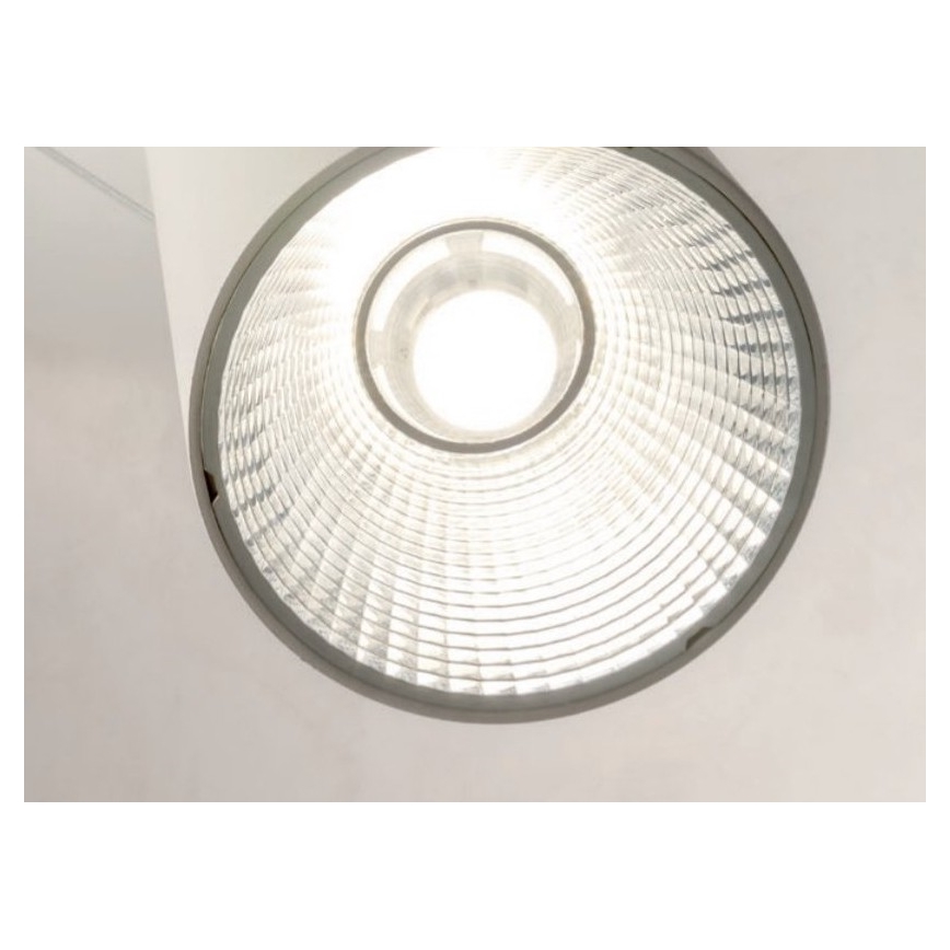 Redo 01-1970 - LED Zatemnitveni lestenec na vrvici ESSENCE LED/24W/230V CRI 90 3000K bela