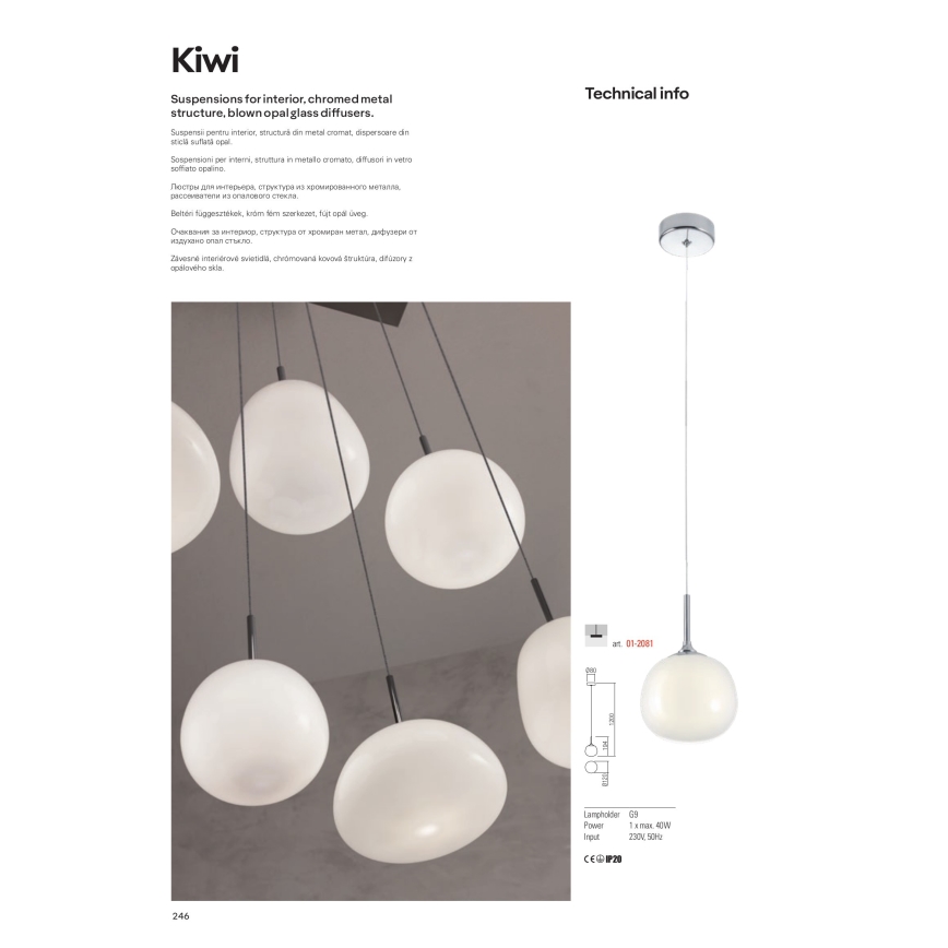 Redo 01-2081 - Viseča svetilka s kablom KIWI 1xG9/40W/230V premer 12 cm sijajni krom/bela