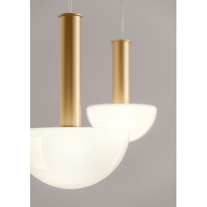Redo 01-2474 - Viseča svetilka na vrvici LUMIEN 1xG9/10W/230V premer 13 cm zlata/bela