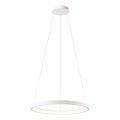 Redo 01-2672 - Zatemnljiv LED lestenec na kablu ICONIC LED/50W/230V, premer 58 cm, bel