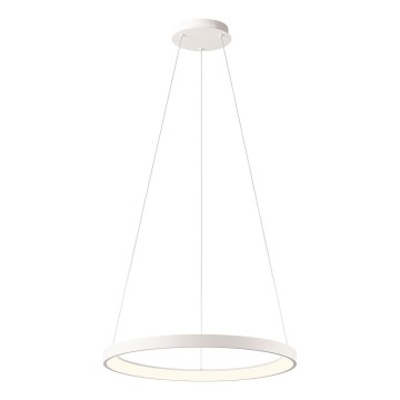 Redo 01-2672 - Zatemnljiv LED lestenec na kablu ICONIC LED/50W/230V, premer 58 cm, bel