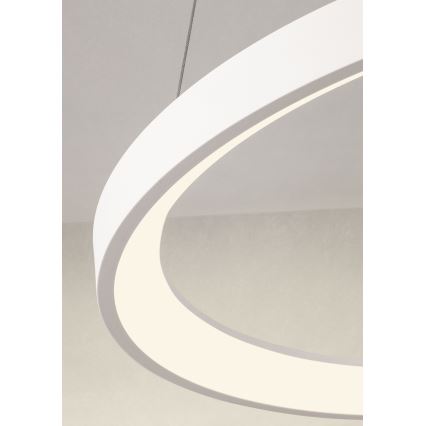 Redo 01-2672 - Zatemnljiv LED lestenec na kablu ICONIC LED/50W/230V, premer 58 cm, bel