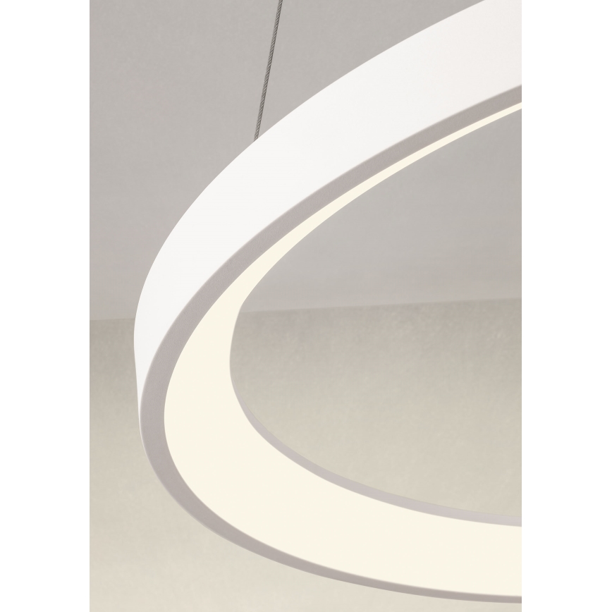 Redo 01-2672 - Zatemnljiv LED lestenec na kablu ICONIC LED/50W/230V, premer 58 cm, bel