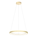 Redo 01-2673 - LED Zatemnitveni lestenec na vrvici ICONIC LED/50W/230V pr. 58 cm zlata