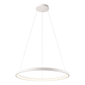 Redo 01-2675 - LED zatemljiv lestenec na kablu ICONIC LED/60W/230V, premer 78 cm, bela