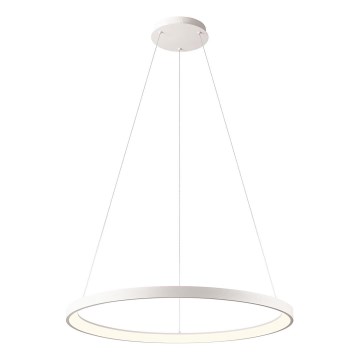 Redo 01-2675 - LED zatemljiv lestenec na kablu ICONIC LED/60W/230V, premer 78 cm, bela