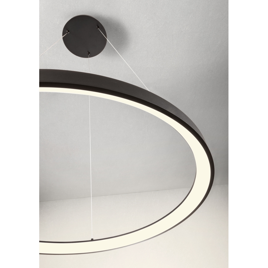 Redo 01-2677 - LED Zatemnitveni lestenec na vrvici ICONIC LED/60W/230V pr. 78 cm črna