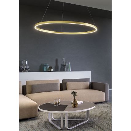 Redo 01-2865 - LED zatemljiv lestenec na kablu FEBE LED/37W/230V zlata