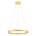 Redo 01-2865 - LED Zatemnitveni lestenec na vrvici FEBE LED/37W/230V zlata