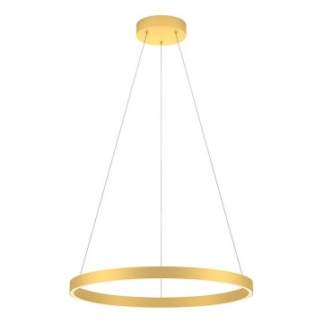 Redo 01-2865 - LED Zatemnitveni lestenec na vrvici FEBE LED/37W/230V zlata