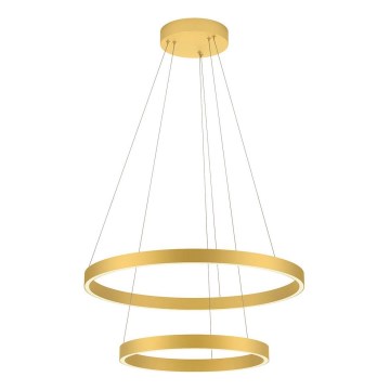 Redo 01-2889 - LED Zatemnitveni lestenec na vrvici FEBE LED/62W/230V zlata