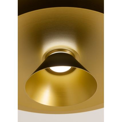 Redo 01-3001 - LED lestenec na jeklenem lanku FARGO LED/16,5W/230V CRI 90 premer 50 cm črna/zlata