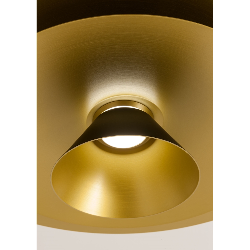 Redo 01-3001 - LED lestenec na jeklenem lanku FARGO LED/16,5W/230V CRI 90 premer 50 cm črna/zlata