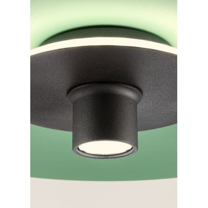 Redo 01-3019 - LED viseči lestenec LARS na jekleni vrvici LED/14W/230V + LED/10W, premer 60 cm, CRI 90, zelena