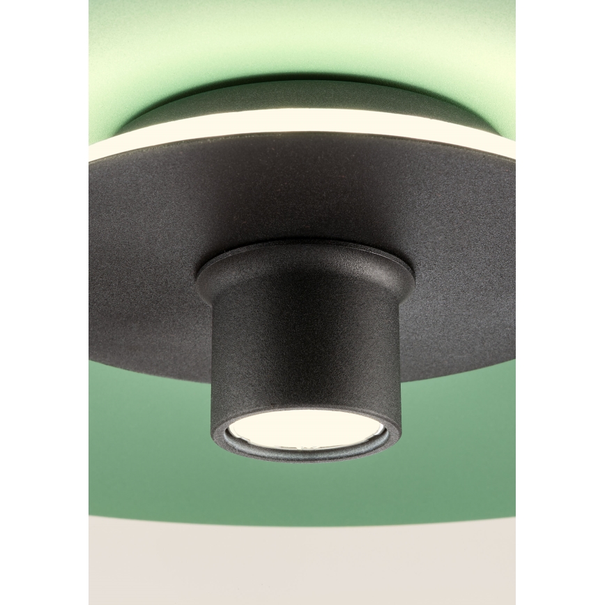 Redo 01-3019 - LED viseči lestenec LARS na jekleni vrvici LED/14W/230V + LED/10W, premer 60 cm, CRI 90, zelena