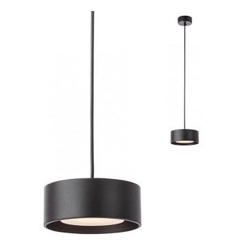 Redo 01-3101 - LED Lestenec na vrvici PUNKT LED/6W/230V pr. 15 cm črna