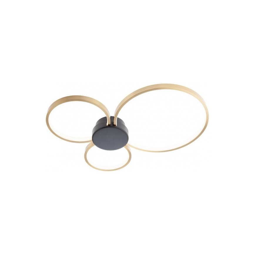 Redo 01-3105 - LED Stropna svetilka ATOM LED/20W/230V