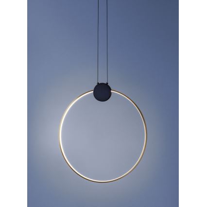 Redo 01-3107 - LED Lestenec na vrvici ATOM LED/20W/230V pr. 60 cm