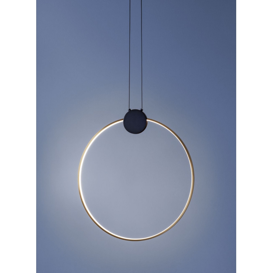 Redo 01-3107 - LED Lestenec na vrvici ATOM LED/20W/230V pr. 60 cm