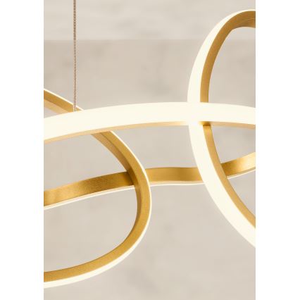 Redo 01-3389 - LED zatemljiv viseči lestenec na kablu BIAS LED/90W/230V 3000/4500/6500K CRI 90 v zlatem odtenku