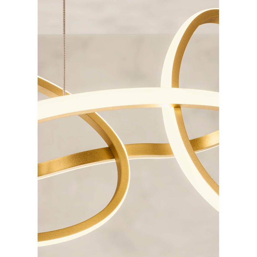 Redo 01-3389 - LED zatemljiv viseči lestenec na kablu BIAS LED/90W/230V 3000/4500/6500K CRI 90 v zlatem odtenku