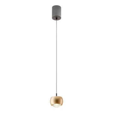 Redo 01-3547 - LED Lestenec na vrvici AVES LED/12W/230V pr. 9,6 cm CRI 90 zlata