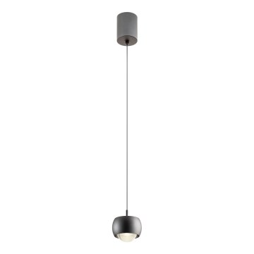 Redo 01-3550 - LED Lestenec na vrvici AVES LED/12W/230V pr. 9,6 cm CRI 90 črna