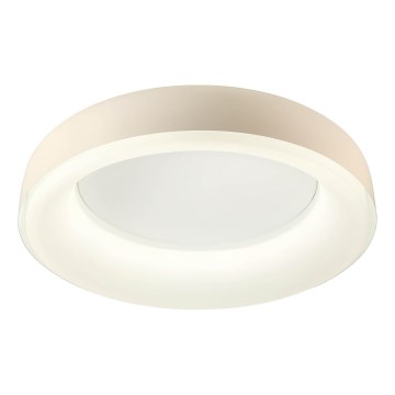 Redo 01-3723 - LED stropna svetilka DIP LED/40W/230V 2700/3000/4000/5000/6500K CRI 90 premer 62,4 cm bež