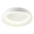 Redo 01-3941 - LED stropno svetilo DIP LED/40W/230V 2700/3000/4000/5000/6500K CRI 90, premer 62,4 cm, belo