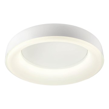 Redo 01-3941 - LED stropno svetilo DIP LED/40W/230V 2700/3000/4000/5000/6500K CRI 90, premer 62,4 cm, belo