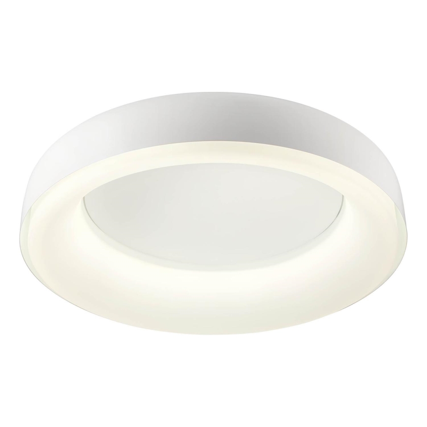 Redo 01-3941 - LED stropno svetilo DIP LED/40W/230V 2700/3000/4000/5000/6500K CRI 90, premer 62,4 cm, belo