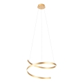 Redo 01-4014 - Zatemnljiv lestenec na kablu SCROLL LED/38W/230V 3000K/4000K/6000K CRI 90 premer 60 cm zlata