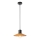Redo 01-4054 - Lestenec na vrvici FRESNO 1xE27/42W/230V pr. 24 cm