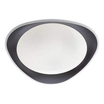 Redo 05-922 - LED Stropna svetilka VERENA LED/24W/230V antracit